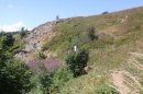 Du col du Haag au Grand Ballon